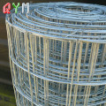 Hot Dipped Galvanized Welded Wire Mesh